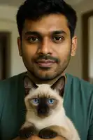 buy a siamese kitten